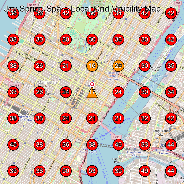 Joy Spring Spa GeoGrid visibility map for Massage Spa in New York